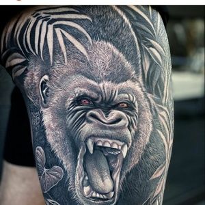 Meet your Posher, Mathew